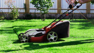 Dette må du tenke på når du kjøper gressklipper