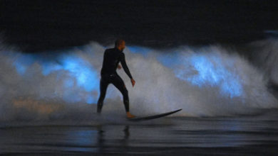 Selvlysende bølger forbløffer surfere