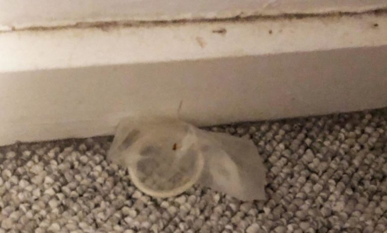 Sjokkfunn i dansk sommerhus