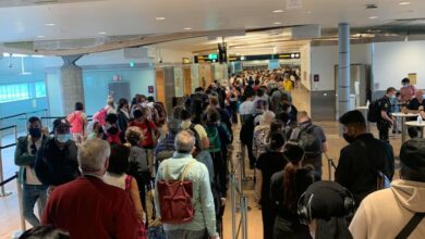 Flykaos: – Fikk sjokk på Gardermoen