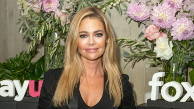 Denise Richards kritiseres etter flytur