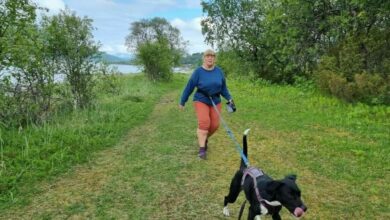 Ferien ble et mareritt: – Traumatisk