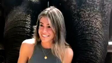 Elefantreservat – Etterforskes etter elefant-hendelse