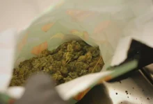 Fikk beskjed fra kongen: – Nei