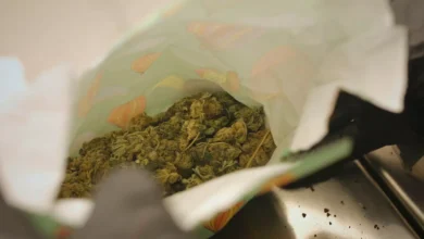 Fikk beskjed fra kongen: – Nei