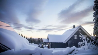 Har fått nok: – Idioter