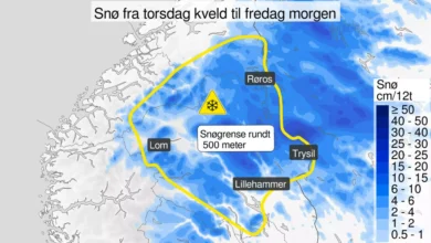 Roar Ljøkelsøy, Rune Velta og Anders Fannemel skal trene de norske hoppgutta