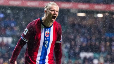 Estland reagerer