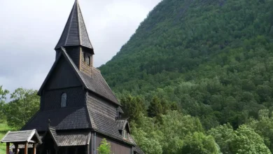 Skrekkbilde: – Forferdelig