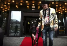 – Hadde ikke noe valg