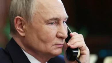 – Angrepet av hund