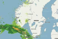 Ble slaktet – dette sier hun