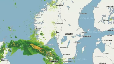 Ble slaktet – dette sier hun