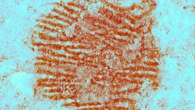 Alexander Sørloth med sesongens første scoring