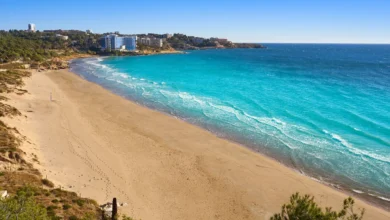 Røper ukjent tragedie