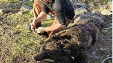Fotballandslaget bekrefter navneendring på drakta til Erling Braut Haaland.