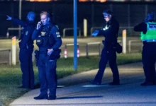Nato tar grep