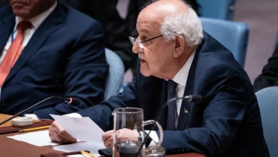 Arabiske stater krever umiddelbar slutt på Israels «folkemorderiske krig» i Gaza