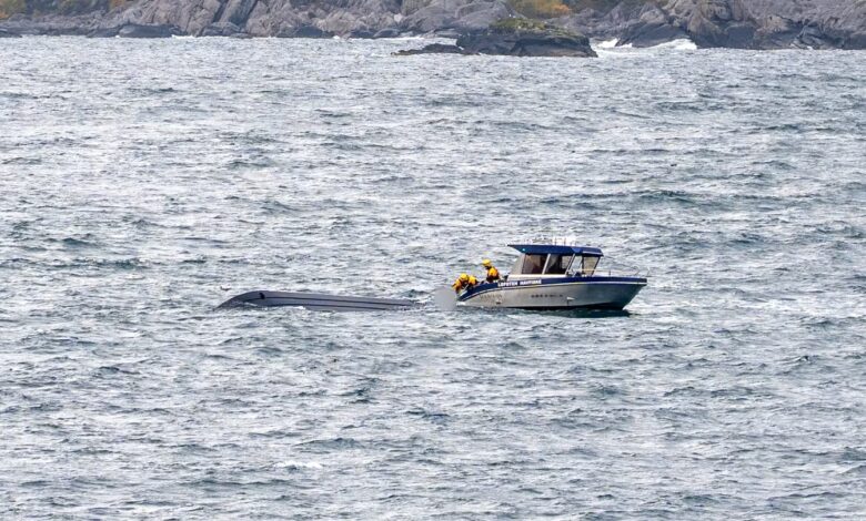 Ble vitne til dramaet i Lofoten: –⁠ Utrolig tragisk