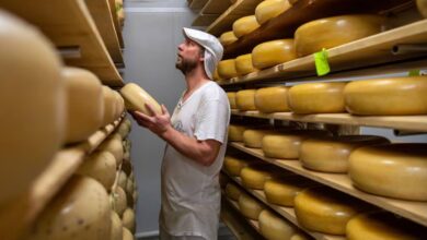 Frå osteørken til oase Frå osteørken til oase