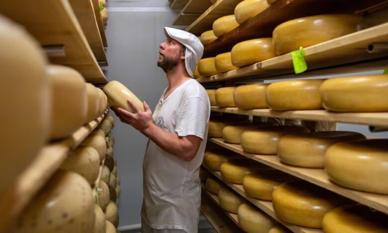 Frå osteørken til oase