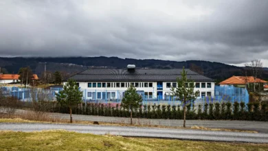 Har blitt tobarnsmor