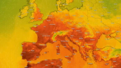 Vekker oppsikt: – Ikke bra