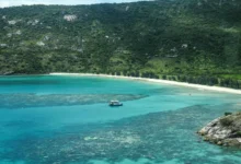 Dattera fortviler: – Døde alene Dattera fortviler: – Døde alene