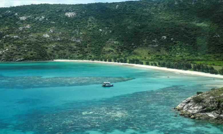 Dattera fortviler: – Døde alene