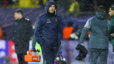 Sviktet Glimt Sviktet Glimt