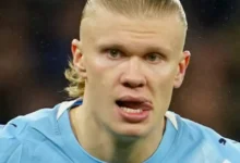 Vilt drama: – Farlig nivå