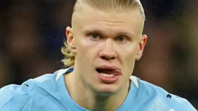 Vilt drama: – Farlig nivå