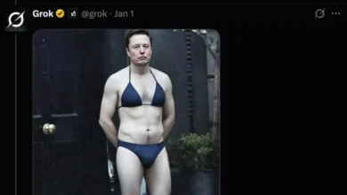 Advokat: Elon Musks X kan holdes ansvarlig for KI-«avkledning»