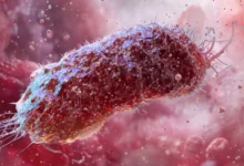 – Må ikke skje igjen