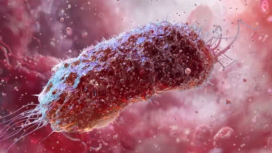 – Må ikke skje igjen