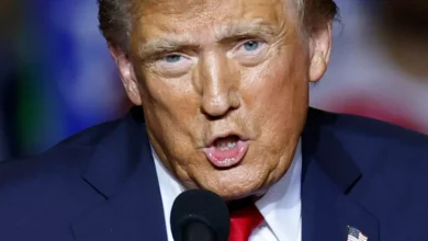 Brutt etter 252 dager