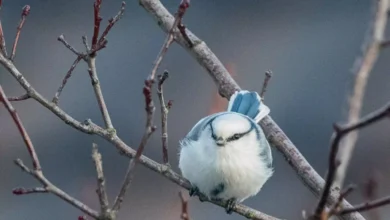 Mistet faren: – Tøffeste jeg har vært gjennom