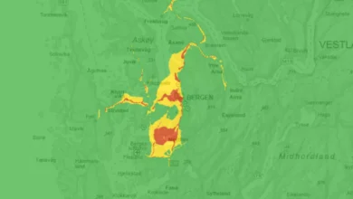 – Kan ikke tro det