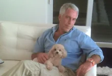 Flere syke – må utsettes