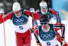 Svenske raser – italiener fortviler