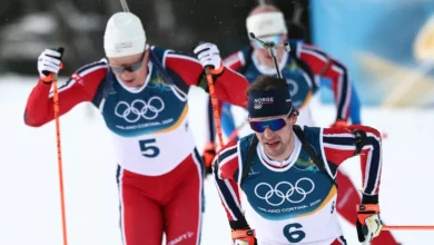 Svenske raser – italiener fortviler