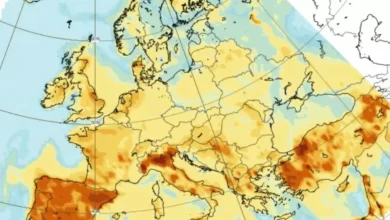Ikke lenger æresmedlem