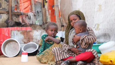 Hormuz-blokaden truer matsikkerheten til 45 millioner mennesker, advarer FN