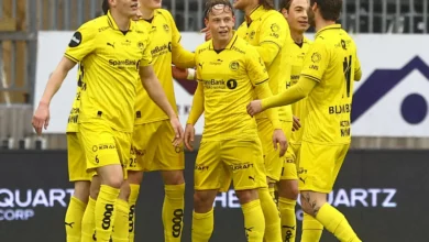 Viking i sorg