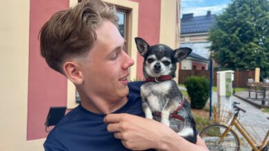 Adrian (17) flyktet til bestemor: – Hørtes ut som bomber (vg) Adrian (17) flyktet til bestemor: – Hørtes ut som bomber (vg)