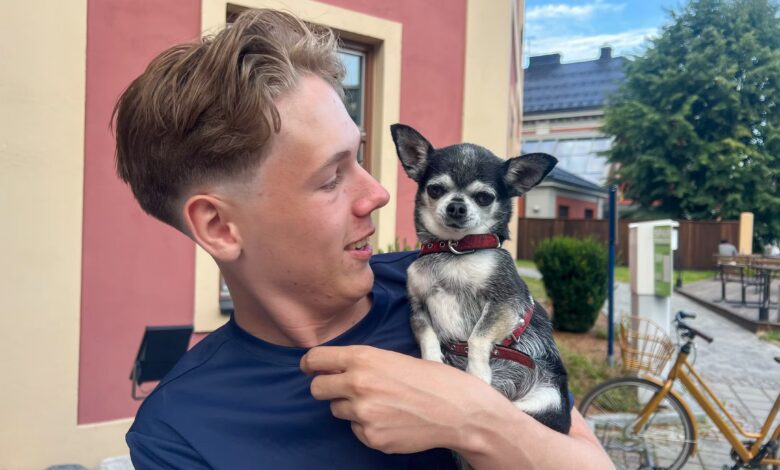 Adrian (17) flyktet til bestemor: – Hørtes ut som bomber (vg) Adrian (17) flyktet til bestemor: – Hørtes ut som bomber (vg)