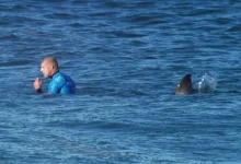 Mick Fanning forteller om haiangrepet under direktesendt surfekonkurranse i Sør-Afrika