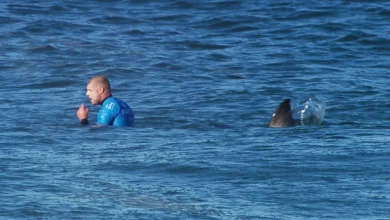 Mick Fanning forteller om haiangrepet under direktesendt surfekonkurranse i Sør-Afrika